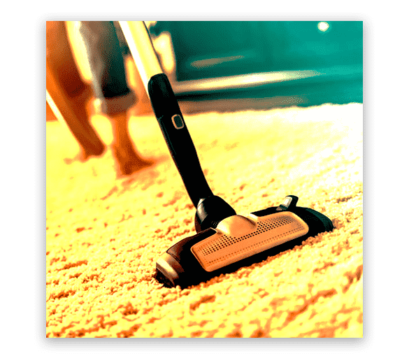 Professional Carpet Cleaning Hobart